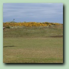 [Click to enlarge image]